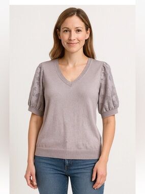 Adrianna Papell Gray Top with Sheer Sleeves NWT